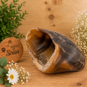 sabot de boeuf pour chien - mastication longue durée