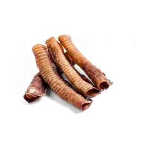 Trachée de bœuf  15CM (pièce)