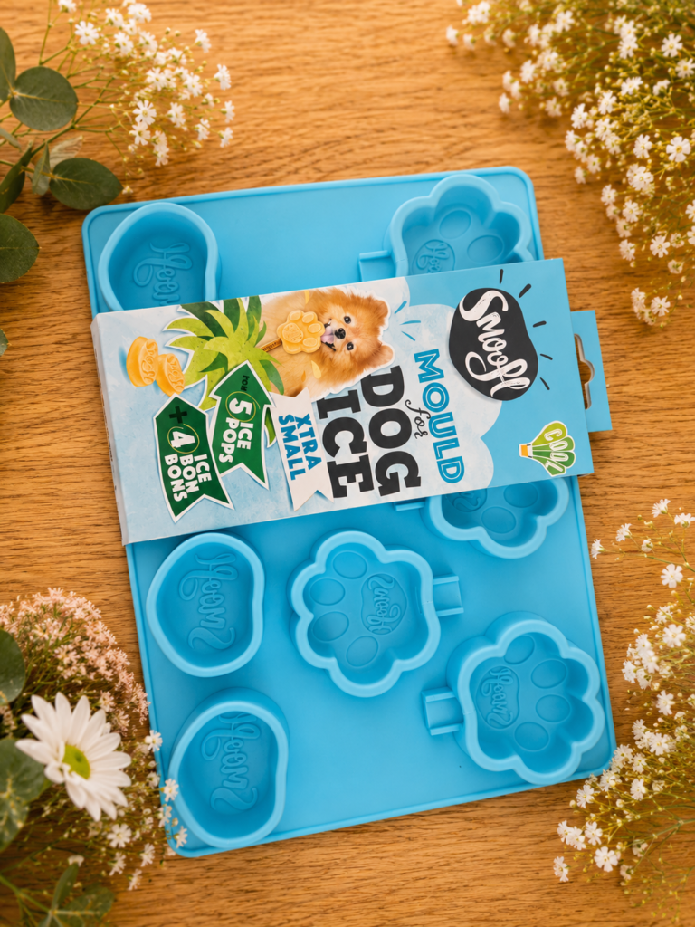 Moule à glace pour chien taille XS 